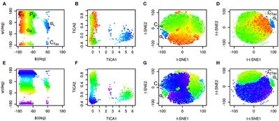 Time-Lagged t-Distributed Stochastic Neighbor Embedding (t-SNE) of Molecular Simulation Trajectories